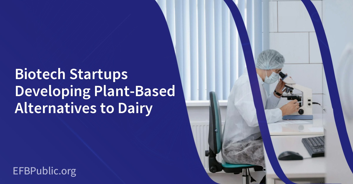 Biotech Startups Developing Plant-Based Alternatives to Dairy
