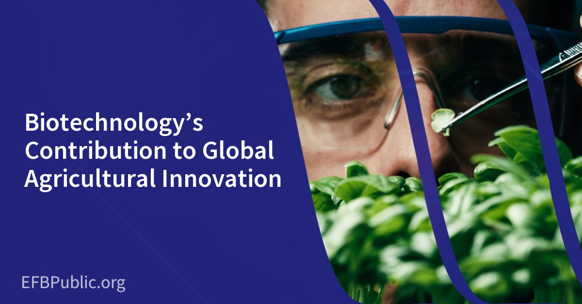 Biotechnology’s Contribution to Global Agricultural Innovation
