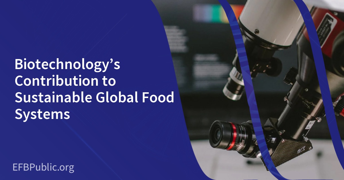 Biotechnology’s Contribution to Sustainable Global Food Systems