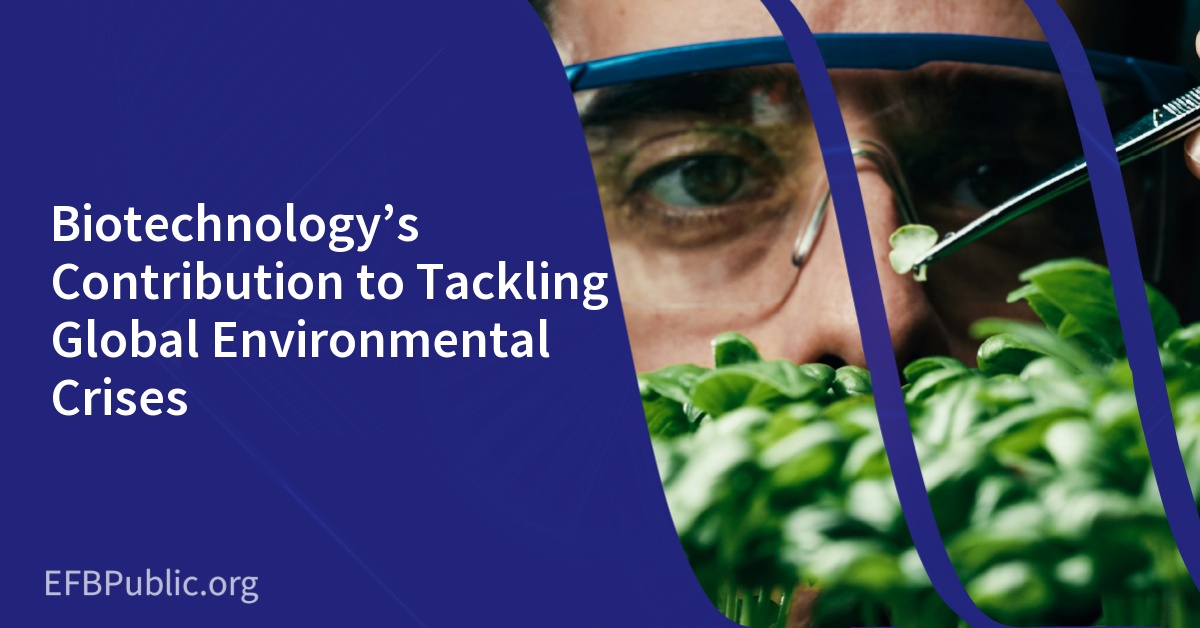 Biotechnology’s Contribution to Tackling Global Environmental Crises