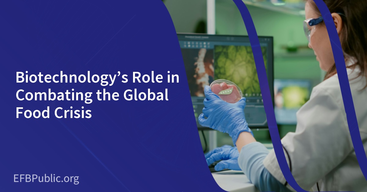 Biotechnology’s Role in Combating the Global Food Crisis