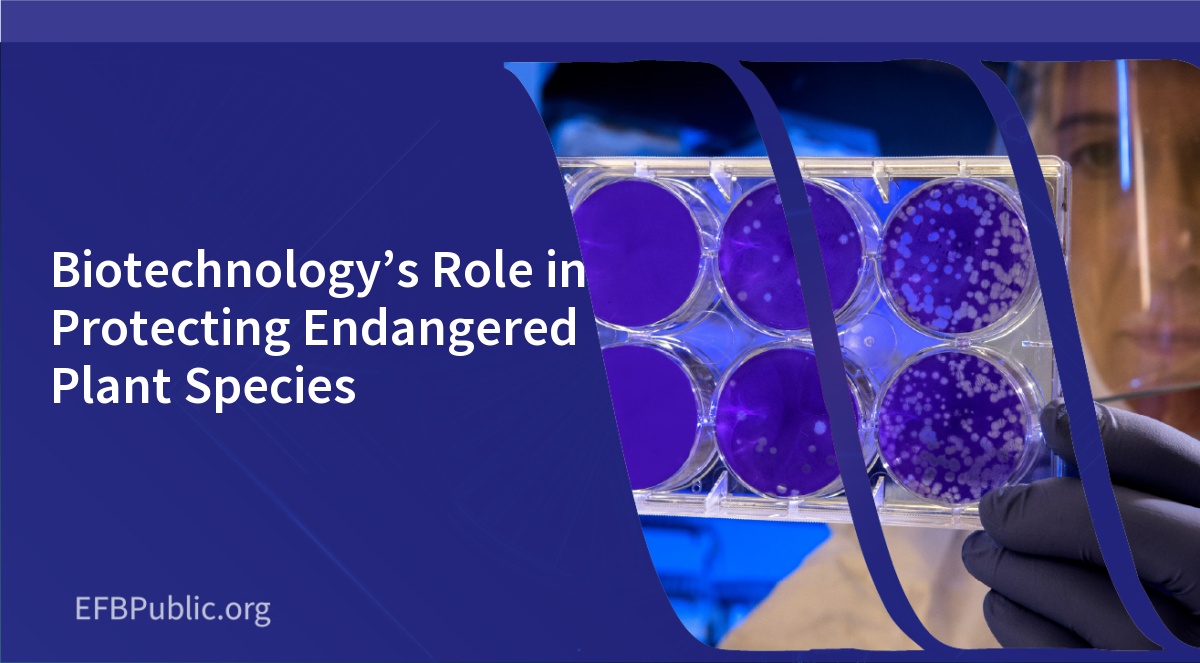 Biotechnology’s Role in Protecting Endangered Plant Species