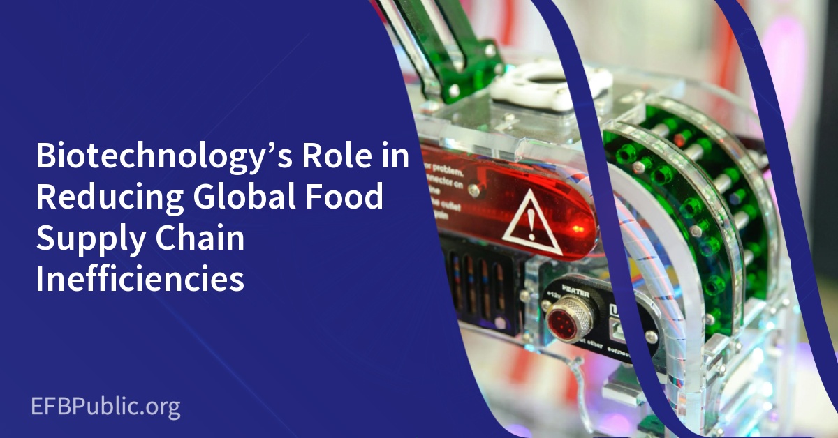 Biotechnology’s Role in Reducing Global Food Supply Chain Inefficiencies