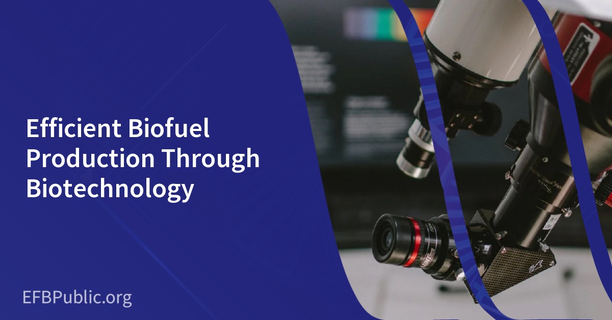 Efficient Biofuel Production Through Biotechnology
