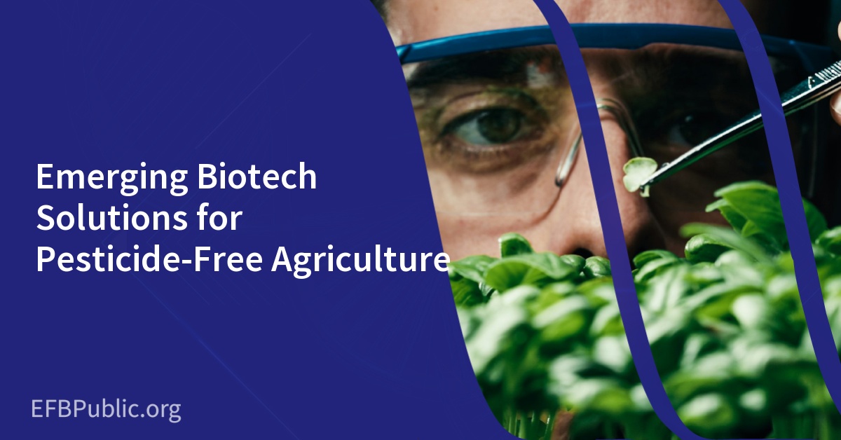 Emerging Biotech Solutions for Pesticide-Free Agriculture