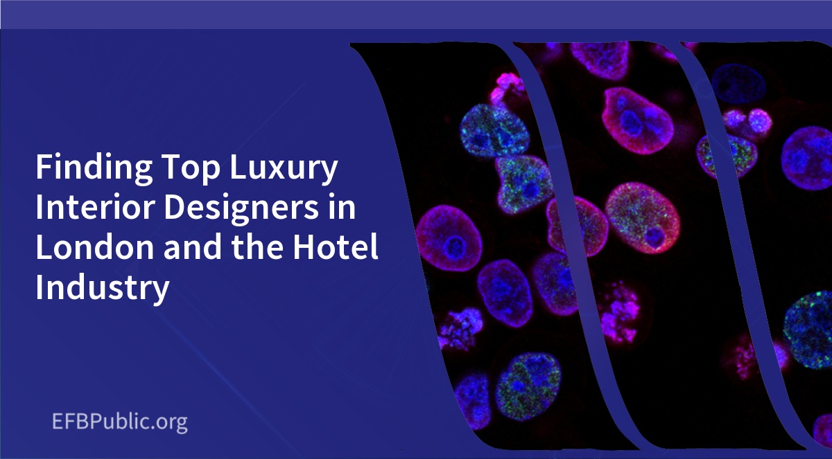 Finding Top Luxury Interior Designers in London and the Hotel Industry