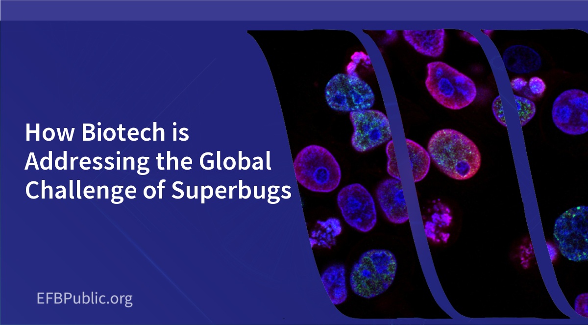 How Biotech is Addressing the Global Challenge of Superbugs