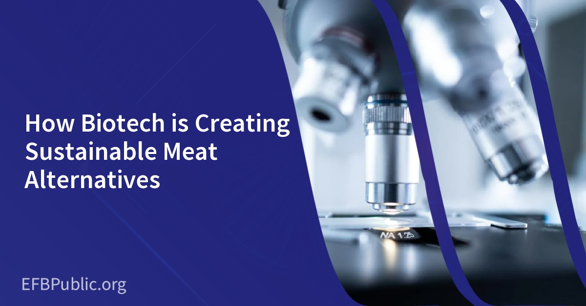 How Biotech is Creating Sustainable Meat Alternatives