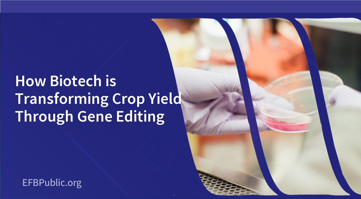 How Biotech is Transforming Crop Yield Through Gene Editing