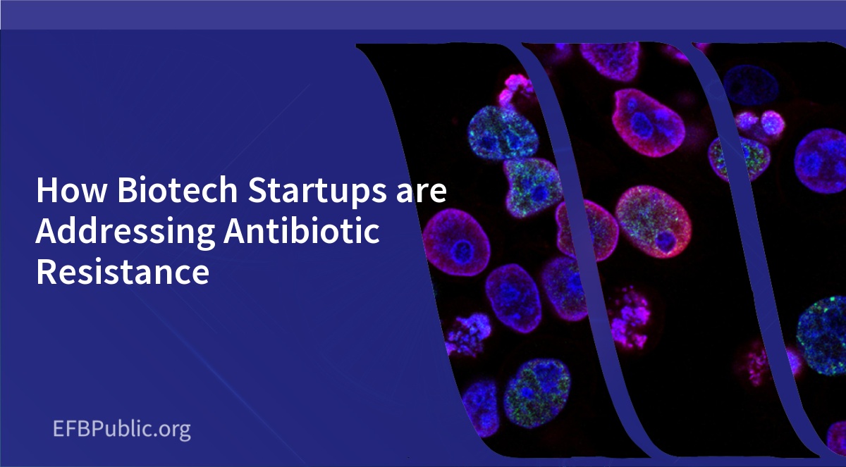 How Biotech Startups are Addressing Antibiotic Resistance
