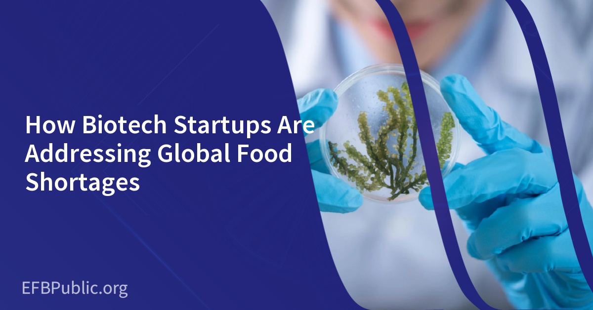 How Biotech Startups Are Addressing Global Food Shortages