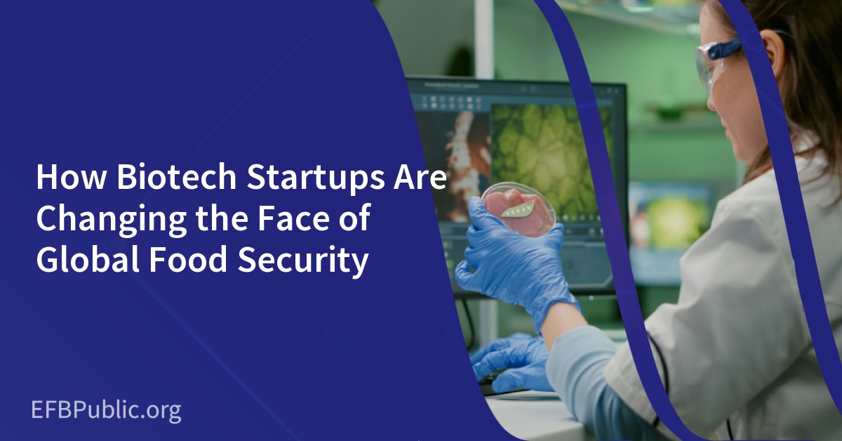 How Biotech Startups Are Changing the Face of Global Food Security