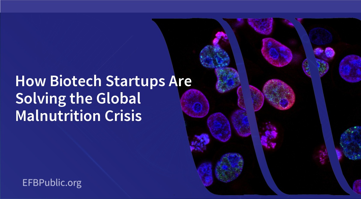 How Biotech Startups Are Solving the Global Malnutrition Crisis