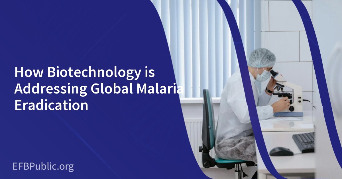 How Biotechnology is Addressing Global Malaria Eradication