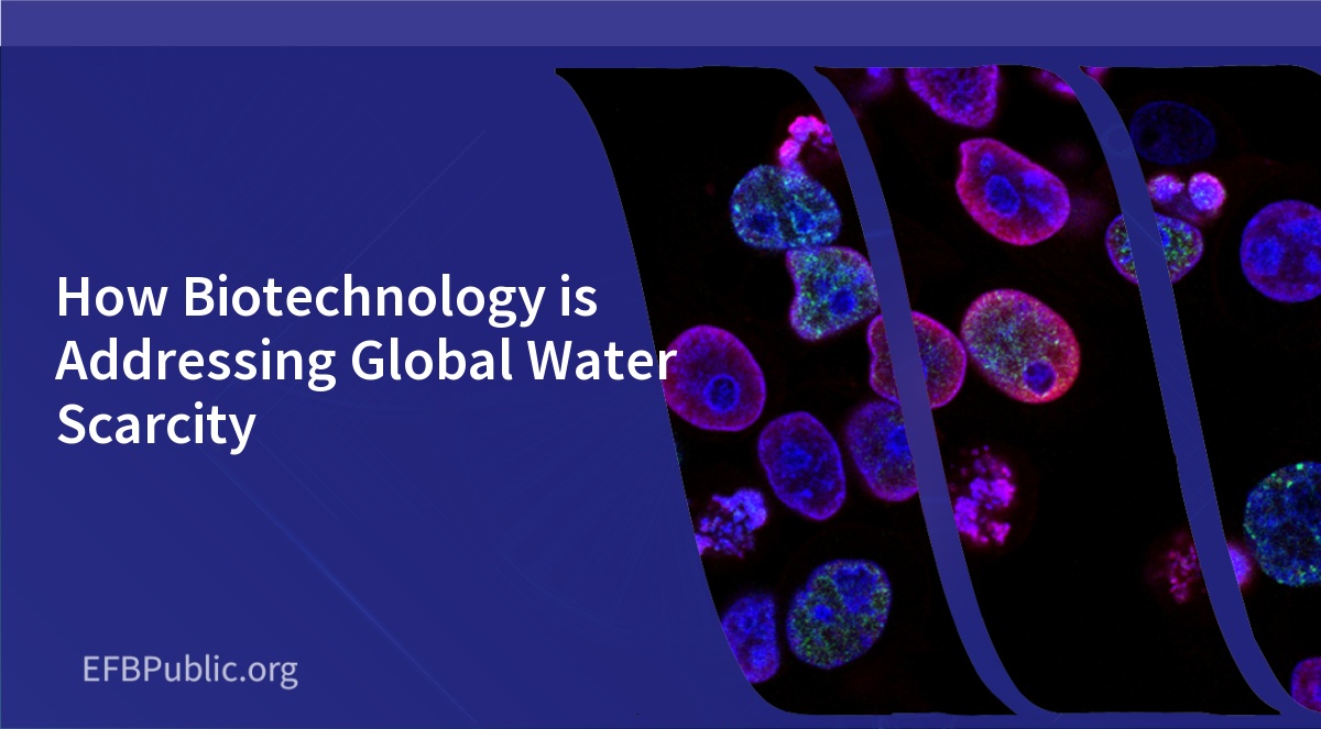 How Biotechnology is Addressing Global Water Scarcity