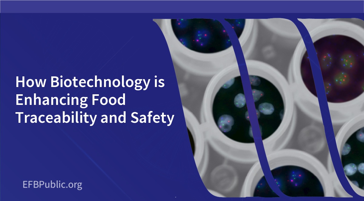How Biotechnology is Enhancing Food Traceability and Safety