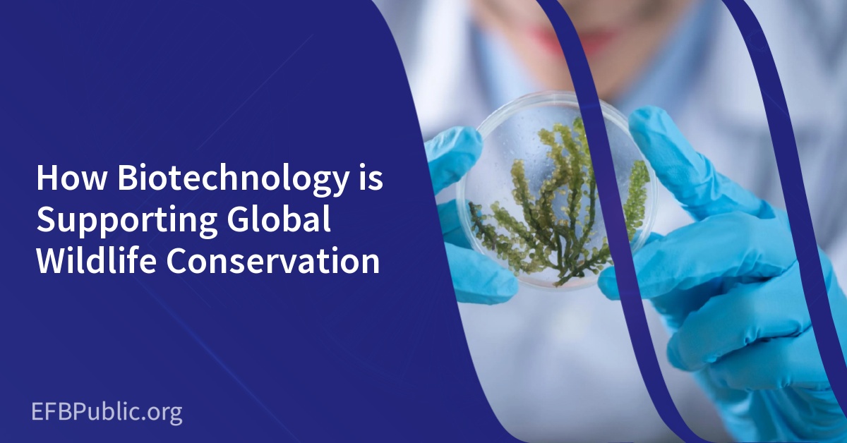 How Biotechnology is Supporting Global Wildlife Conservation