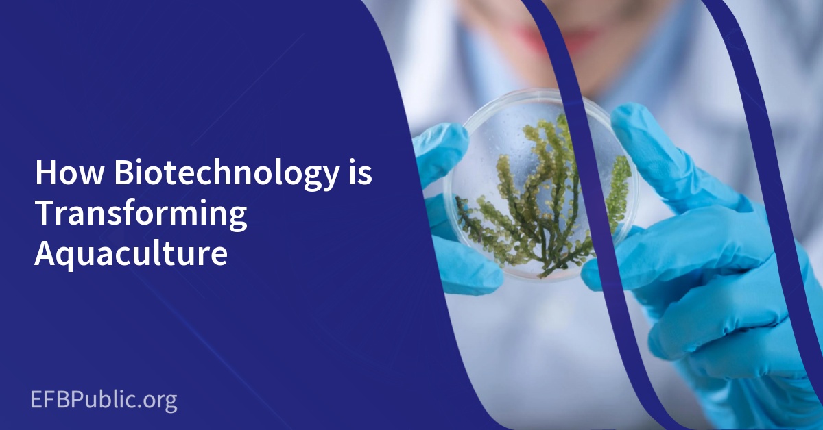 How Biotechnology is Transforming Aquaculture