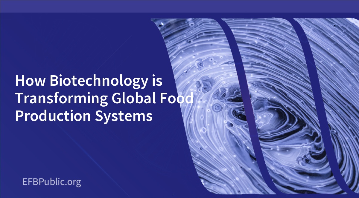 How Biotechnology is Transforming Global Food Production Systems