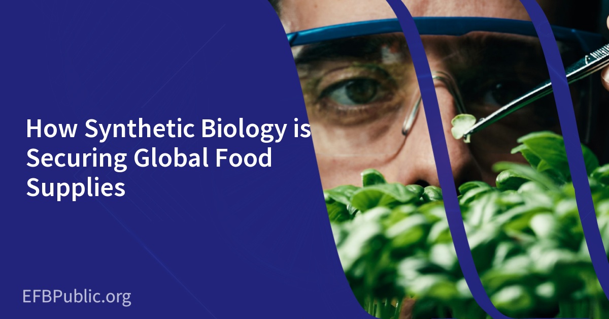 How Synthetic Biology is Securing Global Food Supplies