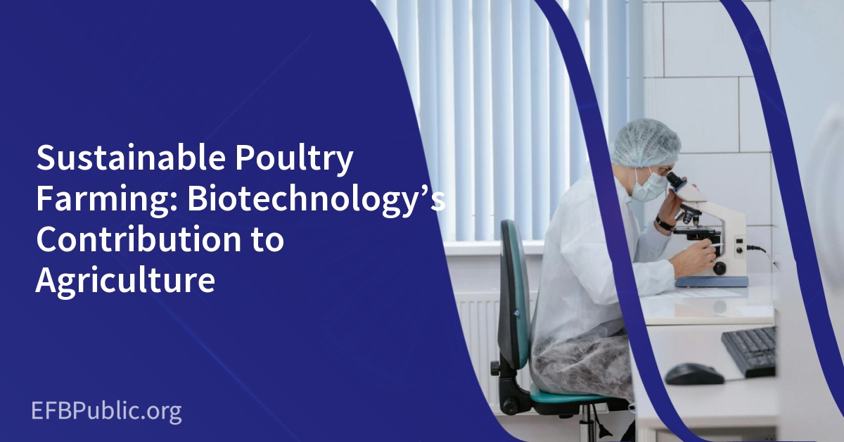 Sustainable Poultry Farming: Biotechnology’s Contribution to Agriculture