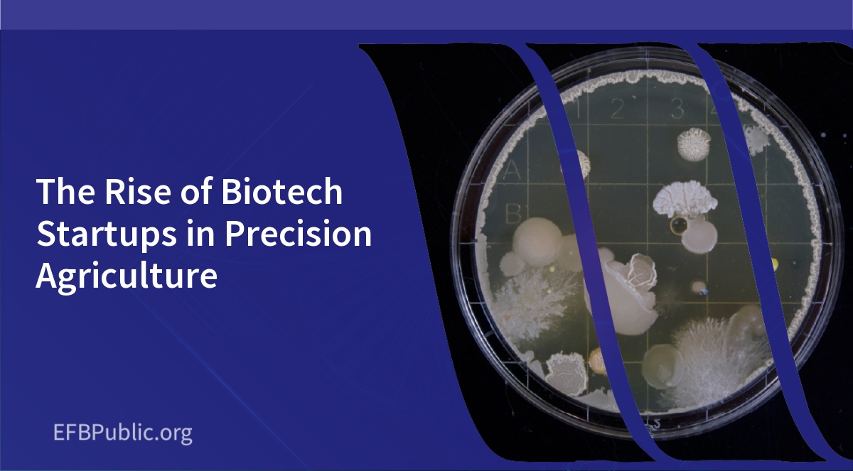 The Rise of Biotech Startups in Precision Agriculture