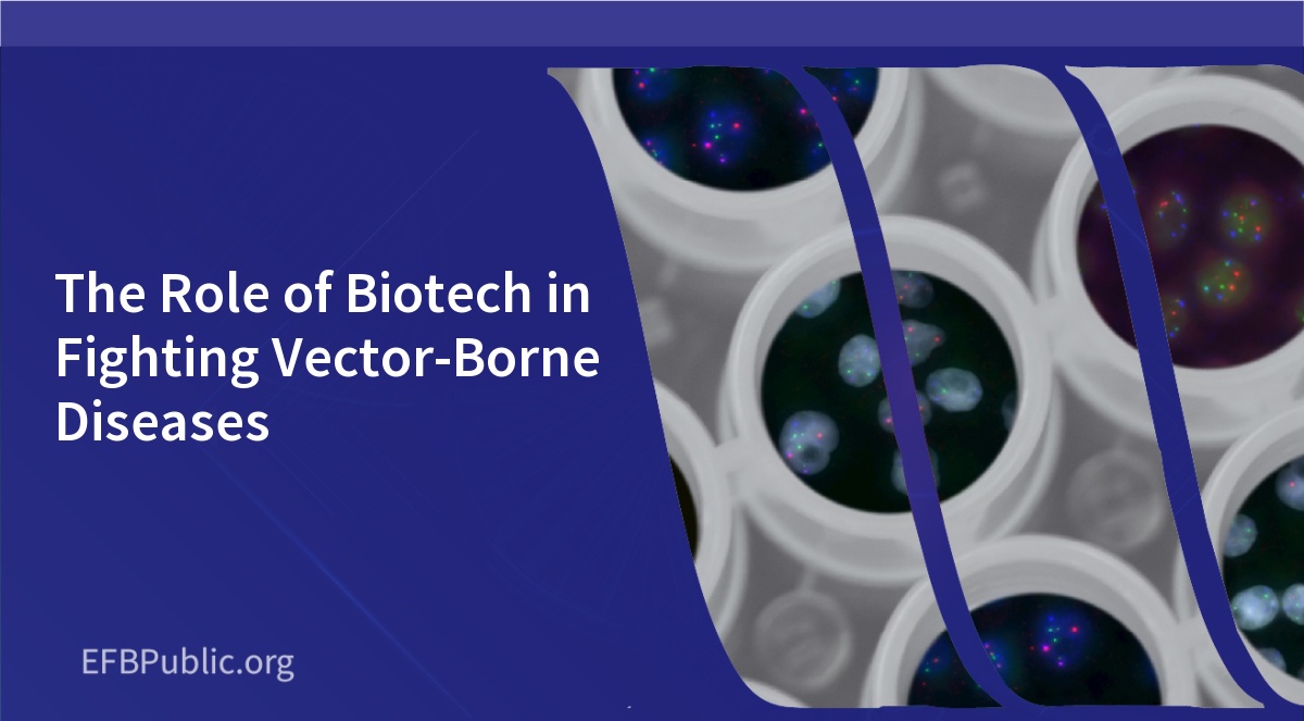 The Role of Biotech in Fighting Vector-Borne Diseases