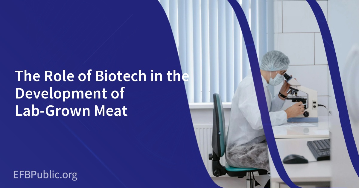 The Role of Biotech in the Development of Lab-Grown Meat