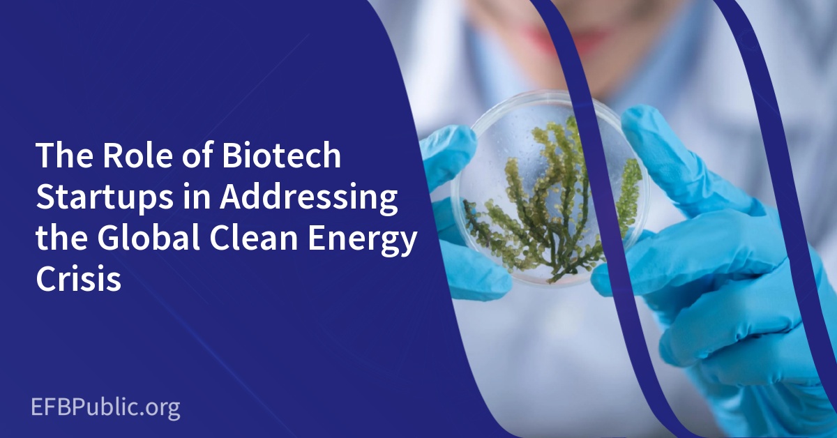 The Role of Biotech Startups in Addressing the Global Clean Energy Crisis