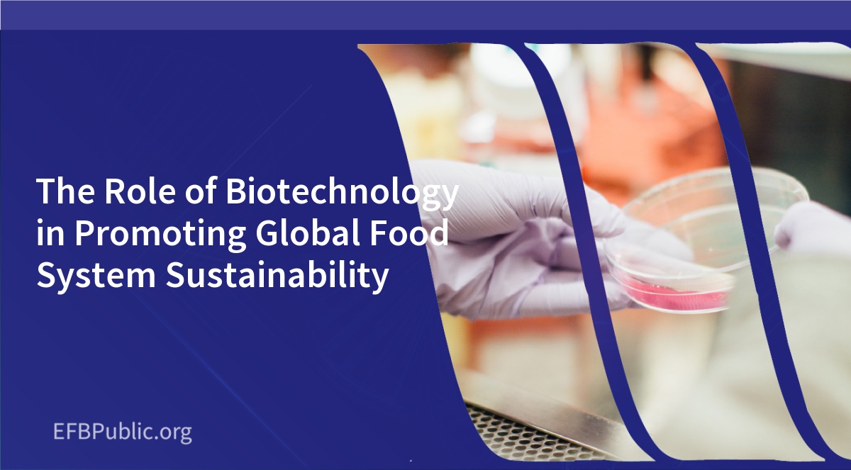 The Role of Biotechnology in Promoting Global Food System Sustainability