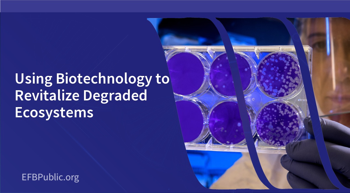 Using Biotechnology to Revitalize Degraded Ecosystems