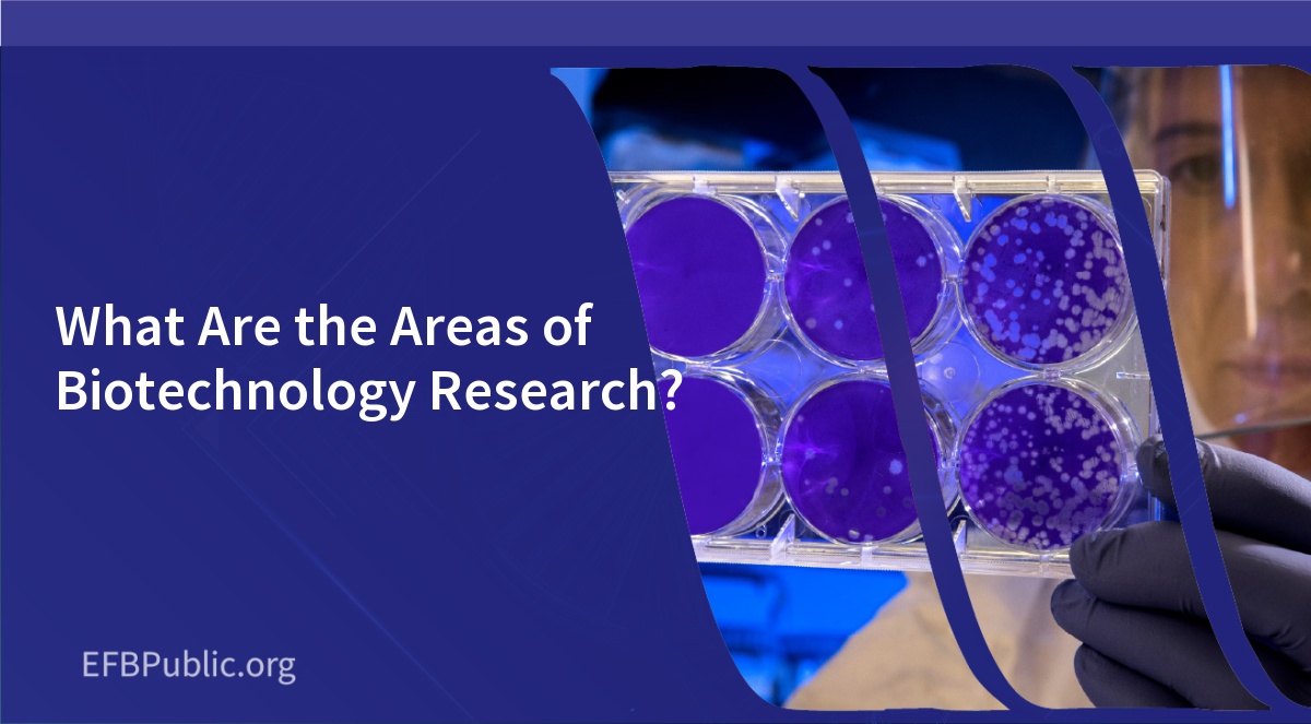 What Are the Areas of Biotechnology Research?