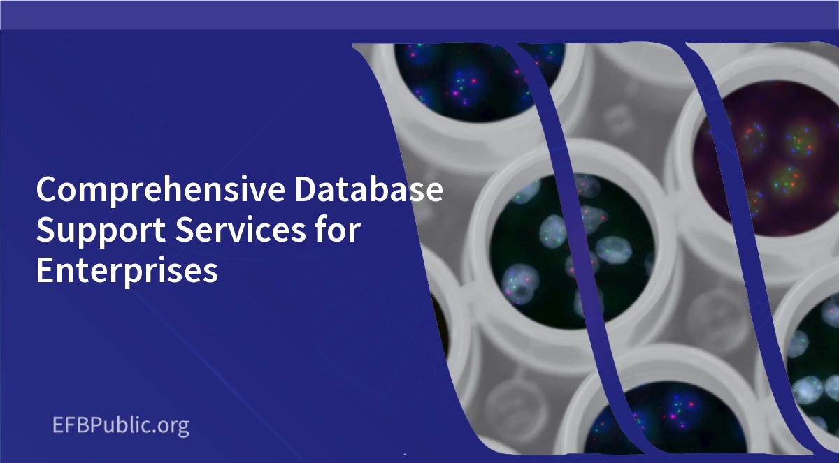 Comprehensive Database Support Services for Enterprises