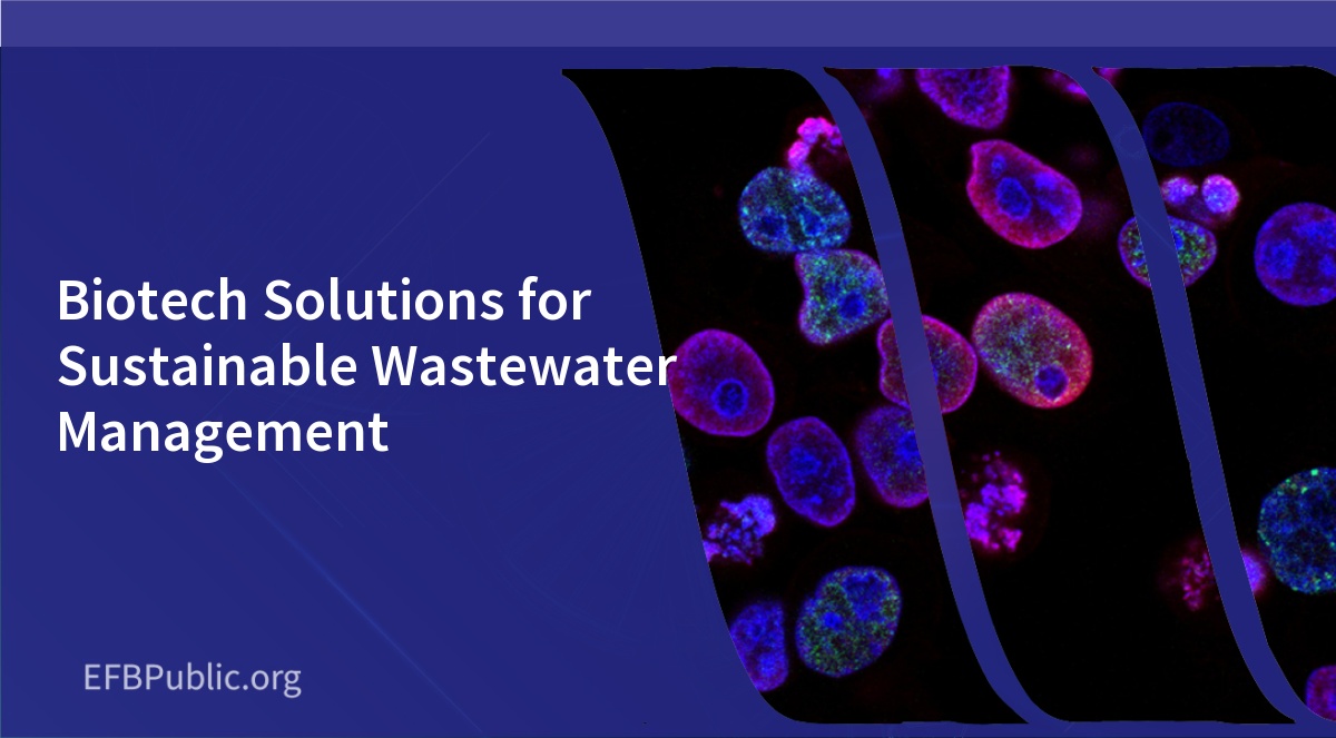 Biotech Solutions for Sustainable Wastewater Management