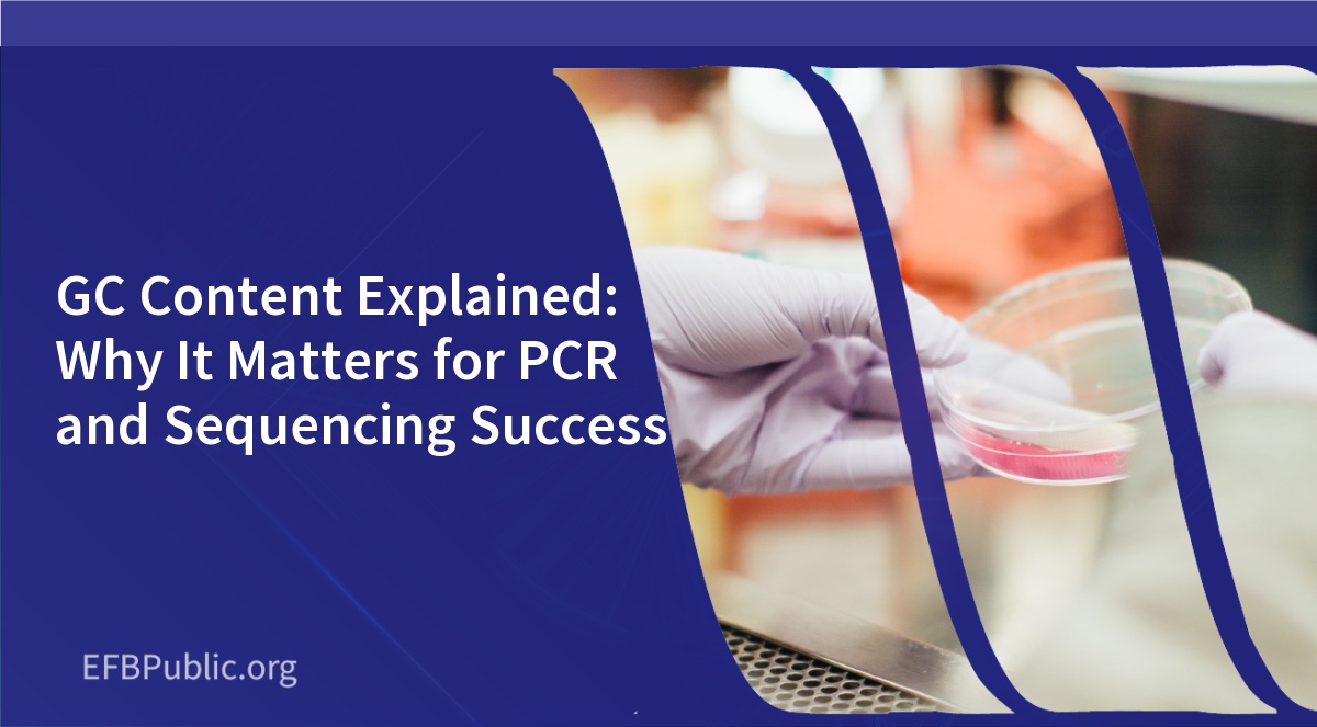 GC Content Explained: Why It Matters for PCR and Sequencing Success