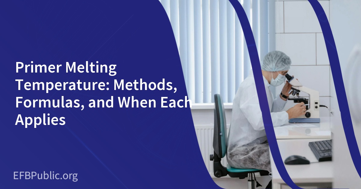 Primer Melting Temperature: Methods, Formulas, and When Each Applies