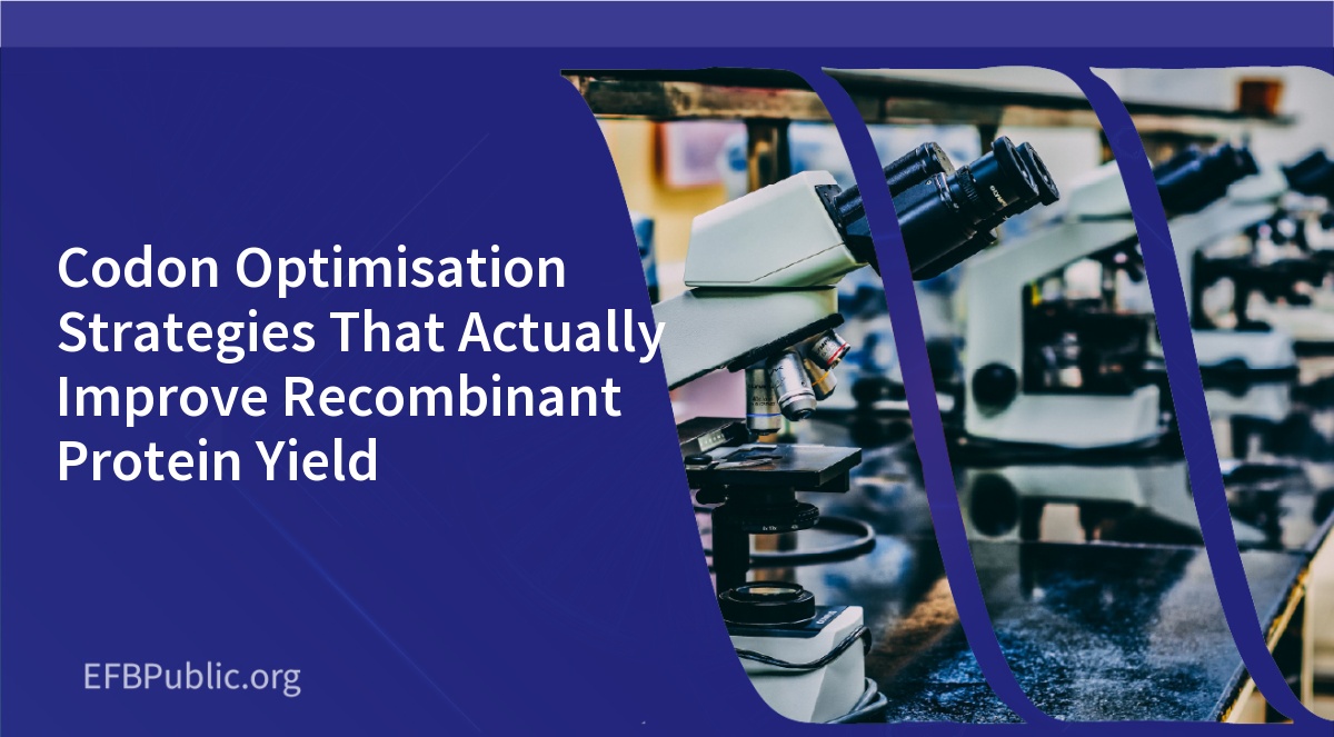 Codon Optimisation Strategies That Actually Improve Recombinant Protein Yield