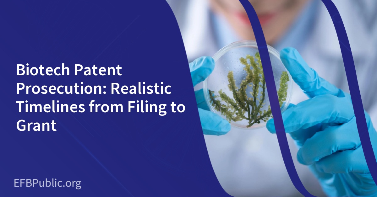Biotech Patent Prosecution: Realistic Timelines from Filing to Grant
