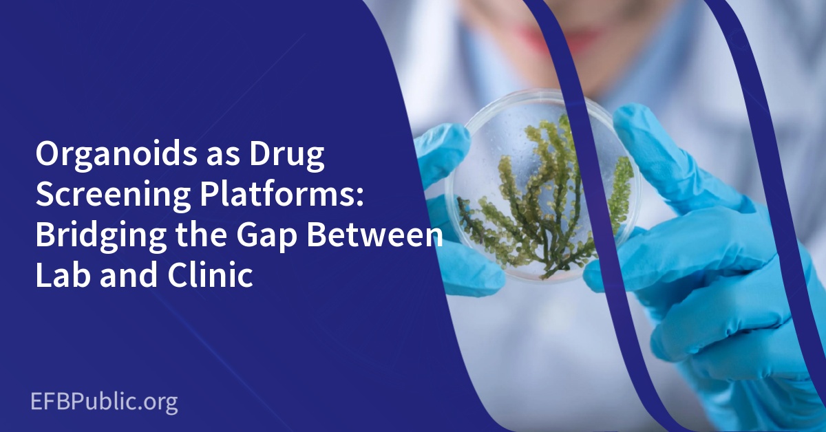 Organoids as Drug Screening Platforms: Bridging the Gap Between Lab and Clinic