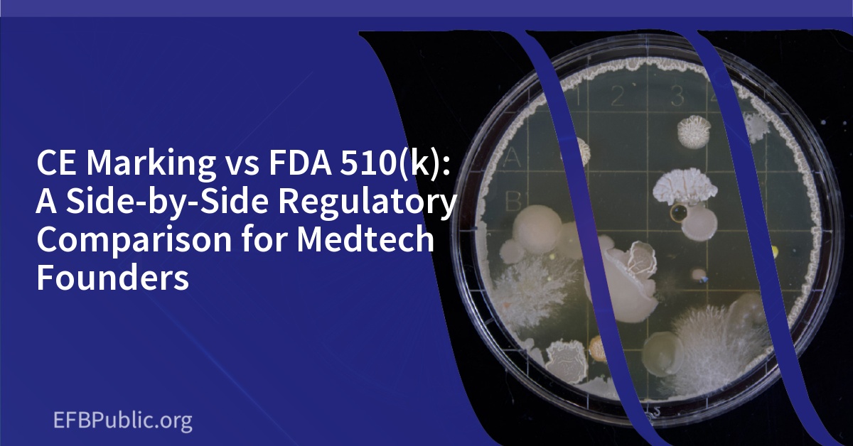 CE Marking vs FDA 510(k): A Side-by-Side Regulatory Comparison for Medtech Founders