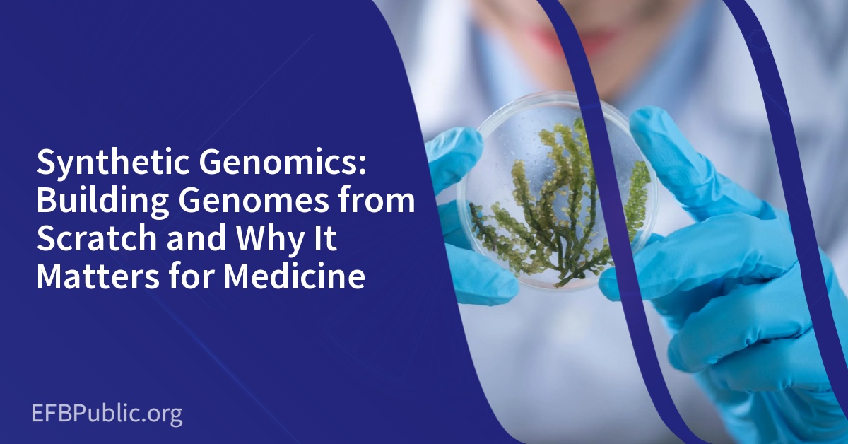 Synthetic Genomics: Building Genomes from Scratch and Why It Matters for Medicine